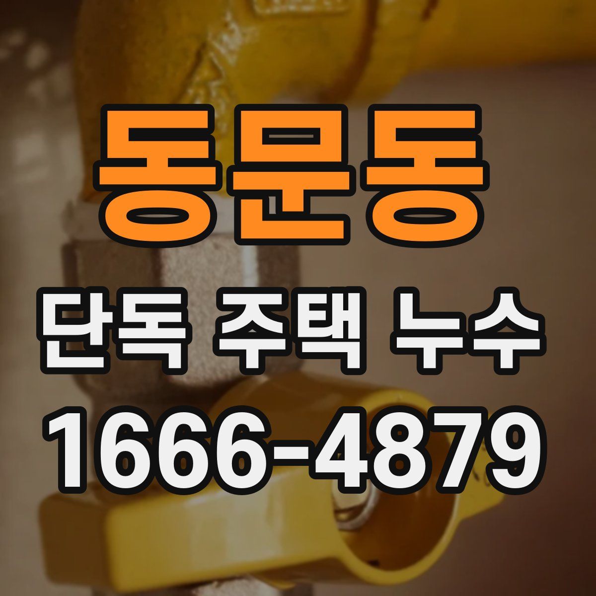 동문동 단독 주택 누수