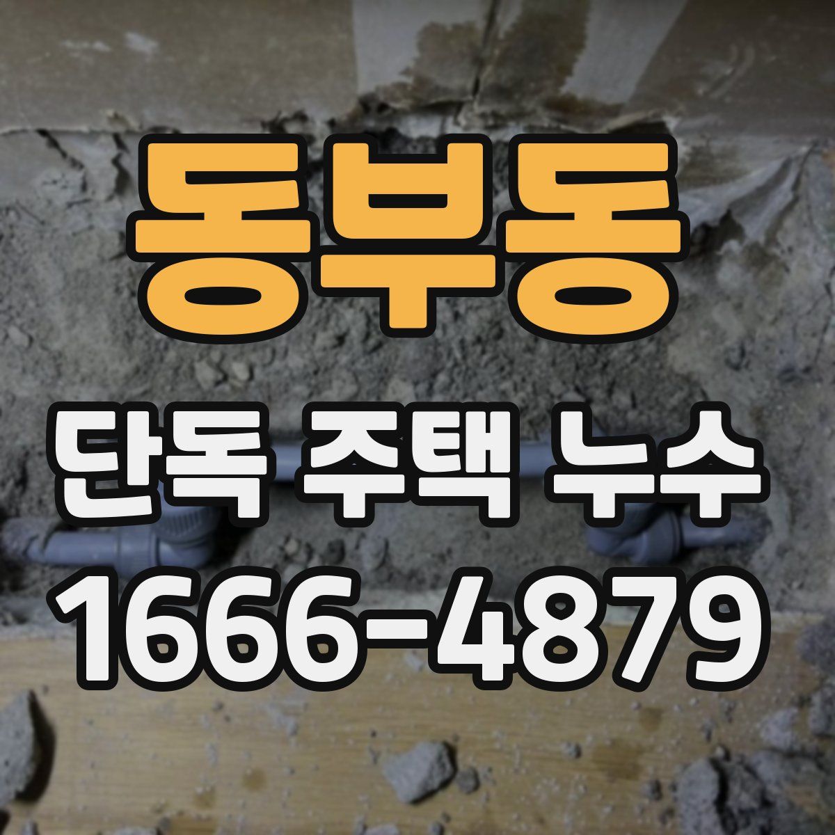 동부동 단독 주택 누수
