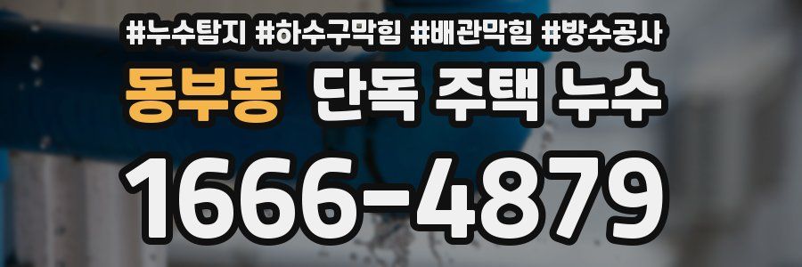 동부동 단독 주택 누수