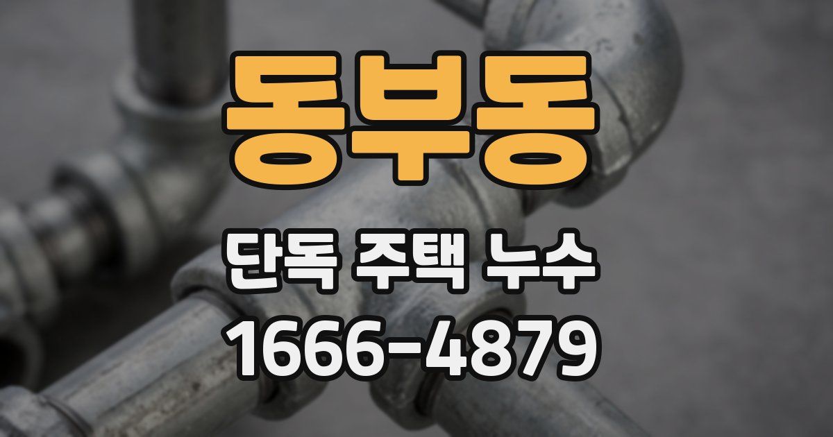 동부동 단독 주택 누수