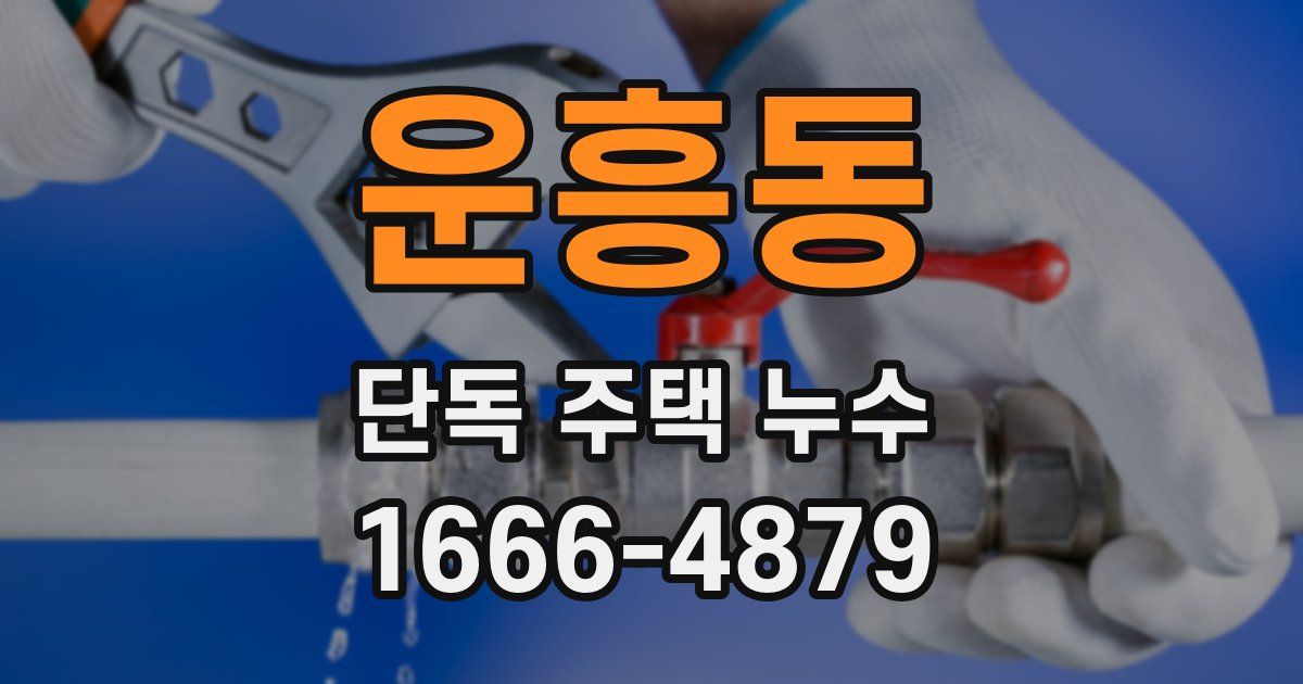 운흥동 단독 주택 누수