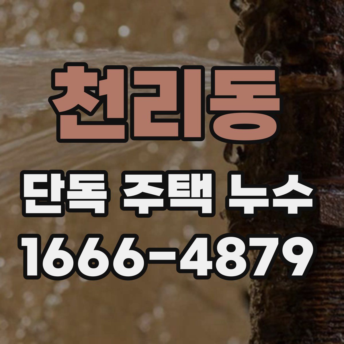 천리동 단독 주택 누수