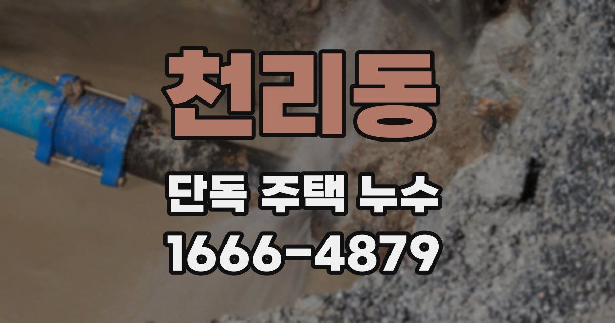 천리동 단독 주택 누수