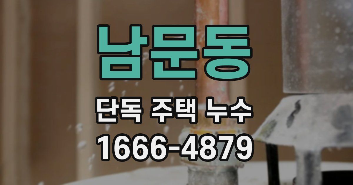 남문동 단독 주택 누수