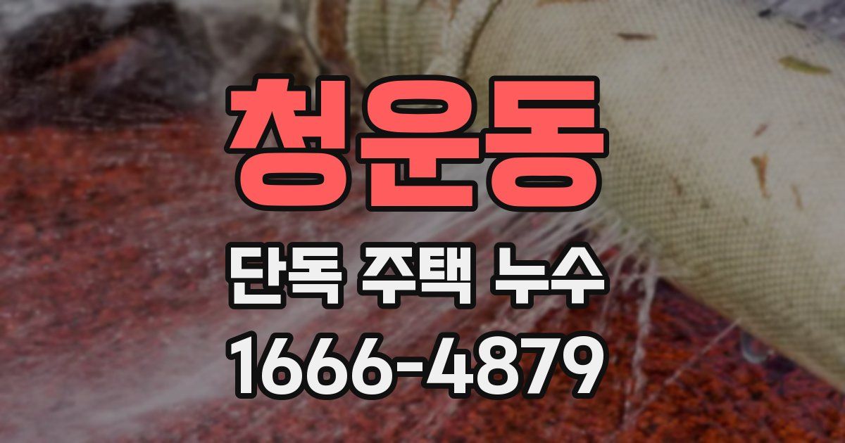 청운동 단독 주택 누수