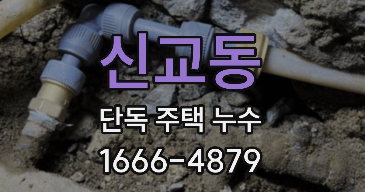 신교동 단독 주택 누수