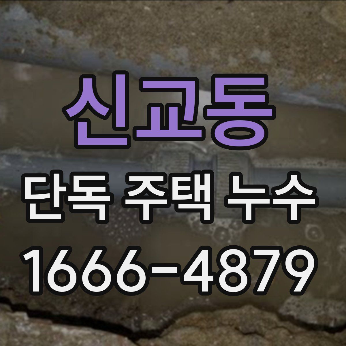 신교동 단독 주택 누수