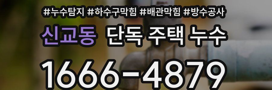 신교동 단독 주택 누수