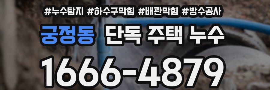 궁정동 단독 주택 누수