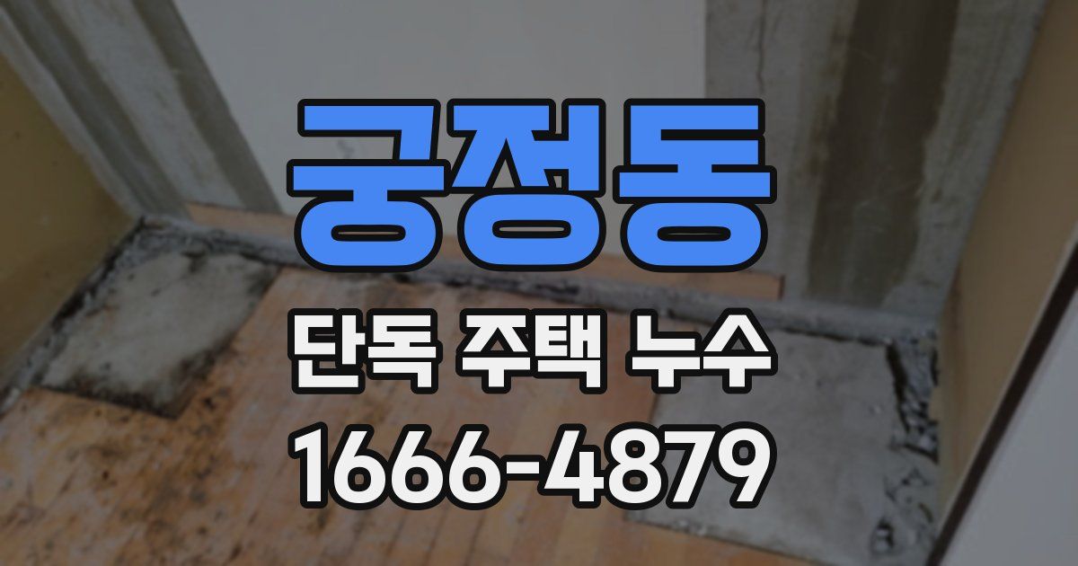 궁정동 단독 주택 누수