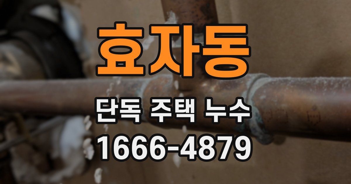 효자동 단독 주택 누수