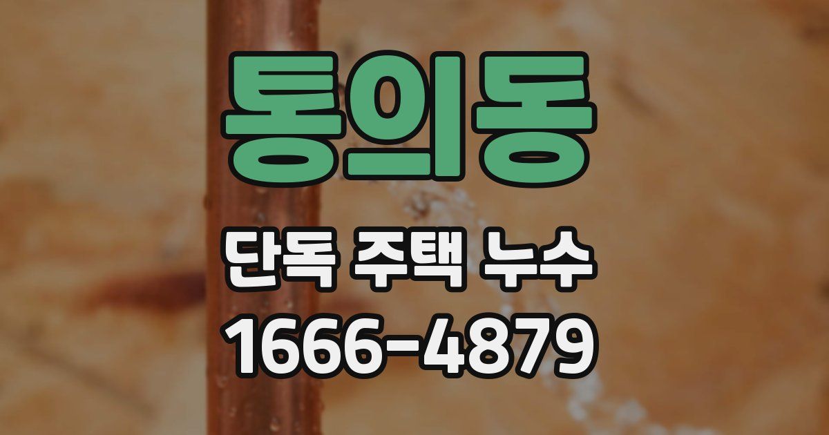 통의동 단독 주택 누수