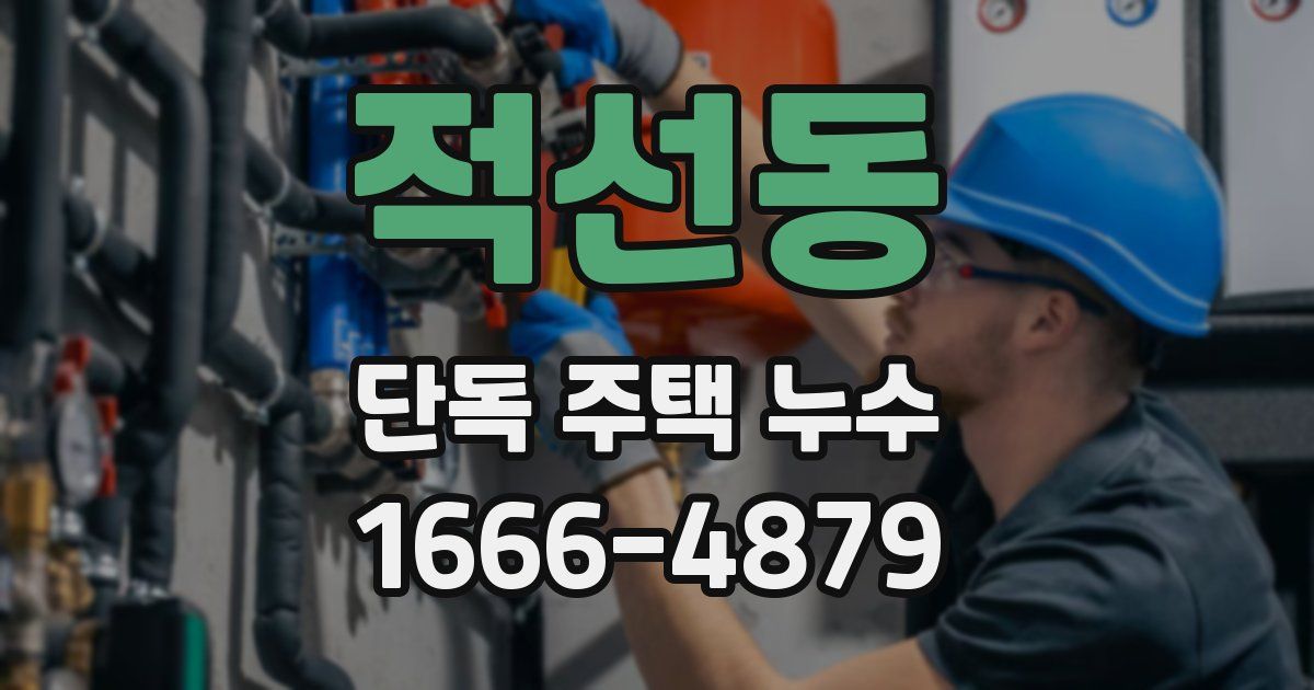 적선동 단독 주택 누수
