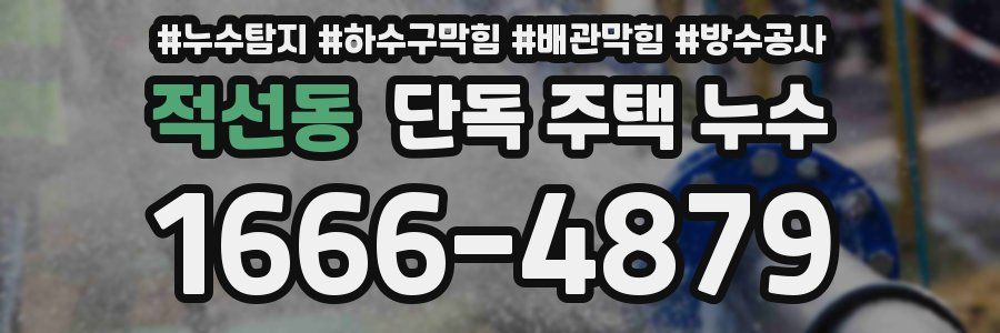 적선동 단독 주택 누수