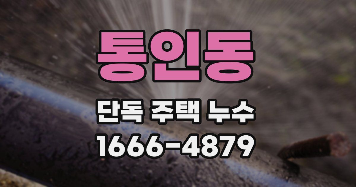 통인동 단독 주택 누수