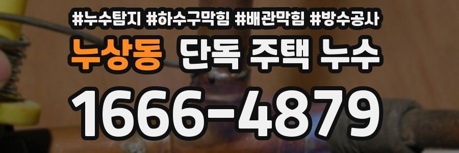 누상동 단독 주택 누수