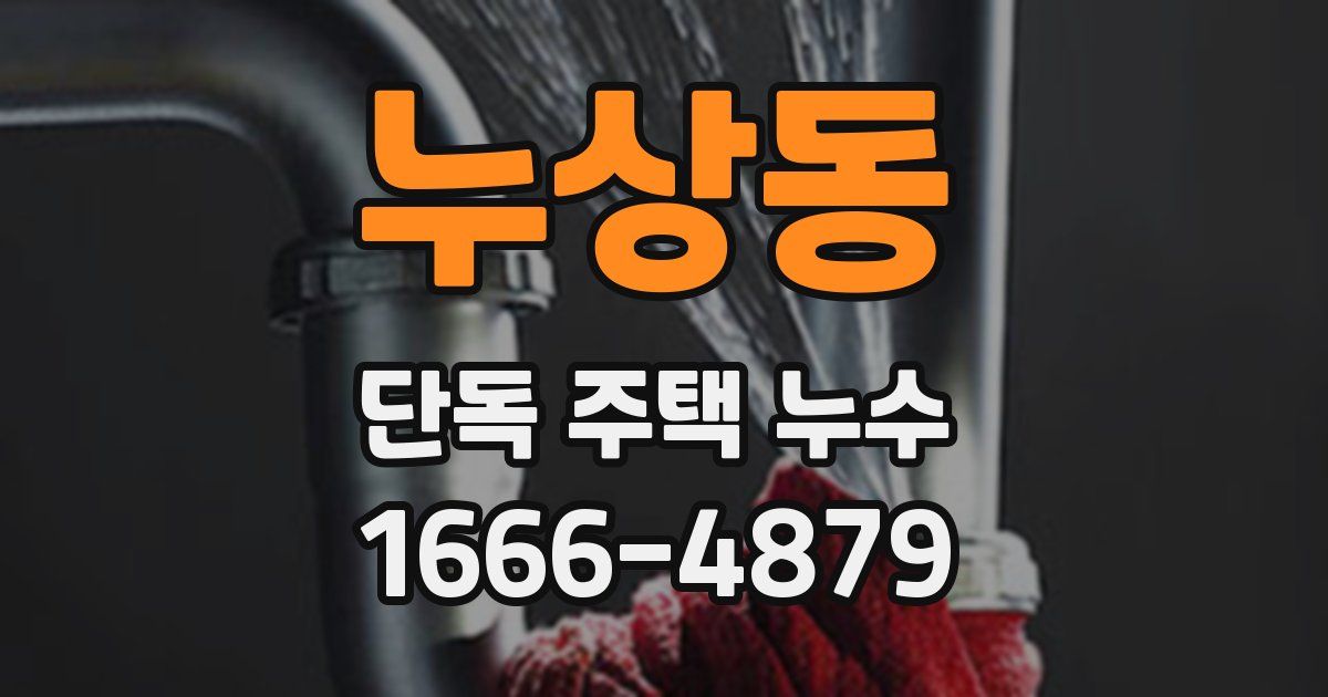 누상동 단독 주택 누수