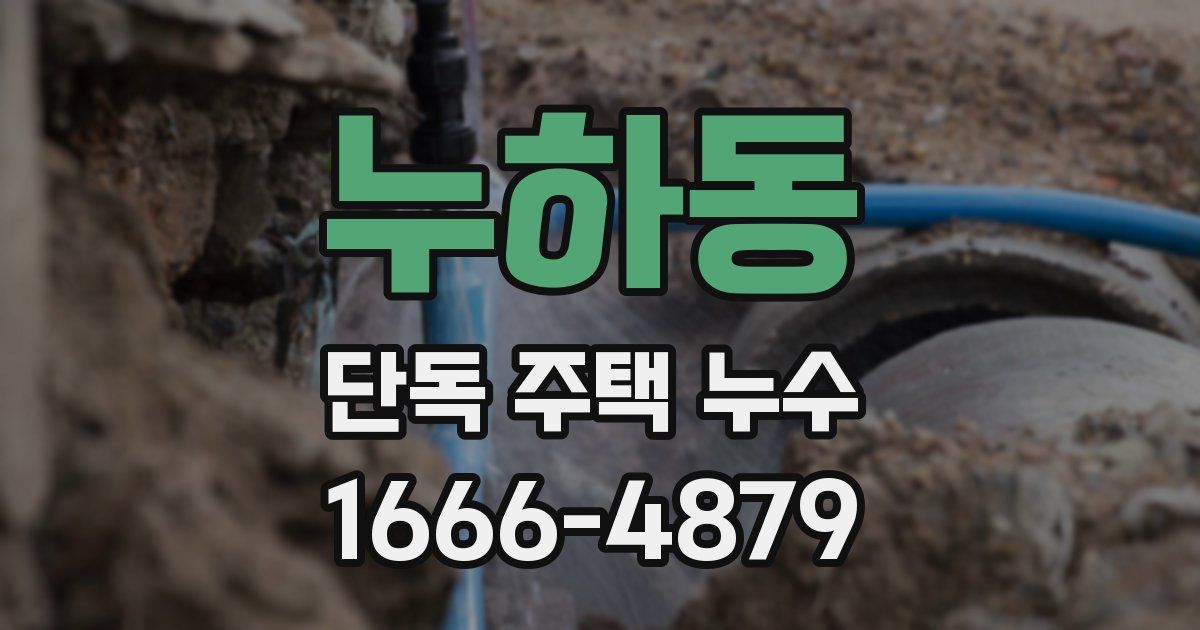 누하동 단독 주택 누수