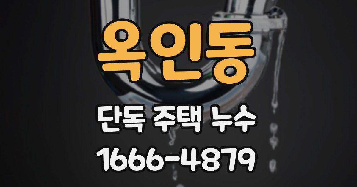 옥인동 단독 주택 누수
