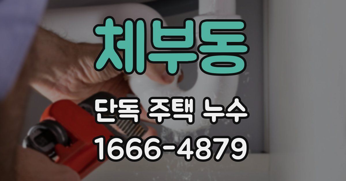 체부동 단독 주택 누수