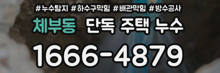 체부동 단독 주택 누수