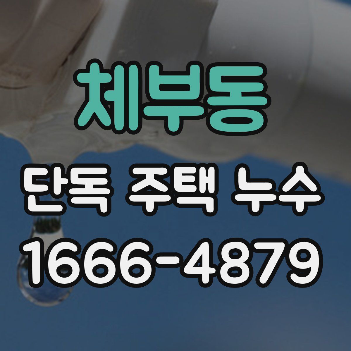 체부동 단독 주택 누수