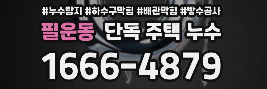 필운동 단독 주택 누수