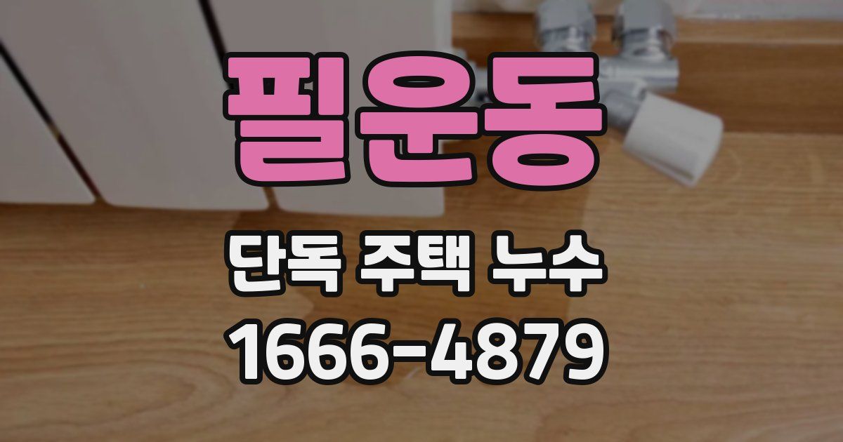 필운동 단독 주택 누수
