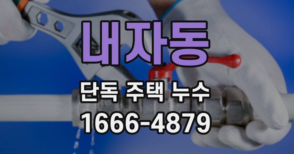 내자동 단독 주택 누수