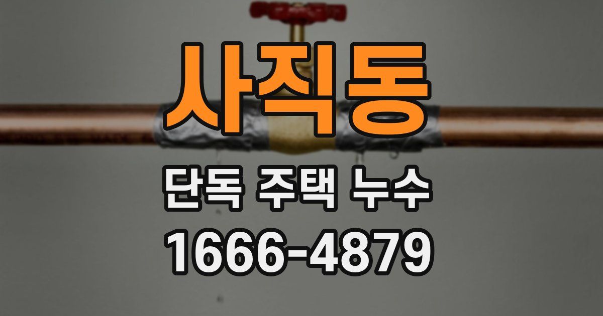 사직동 단독 주택 누수