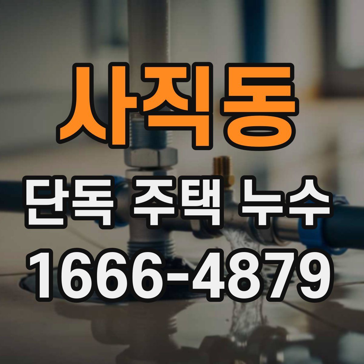 사직동 단독 주택 누수
