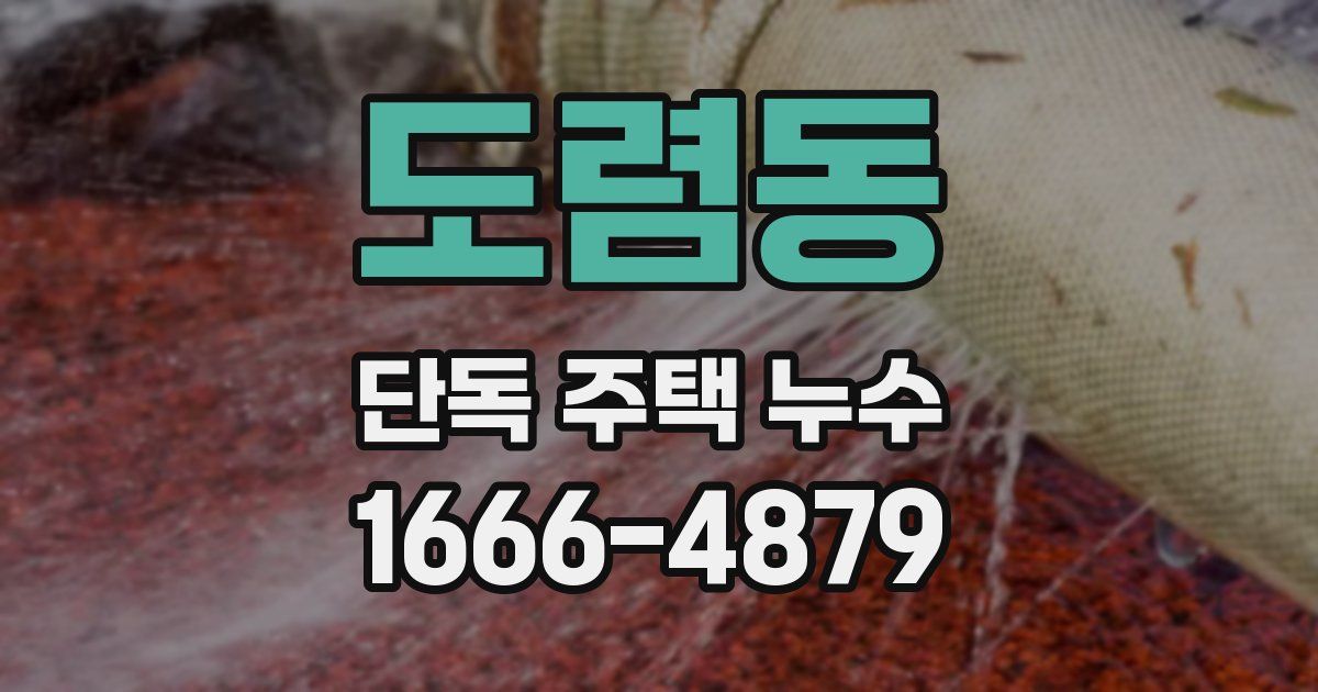 도렴동 단독 주택 누수
