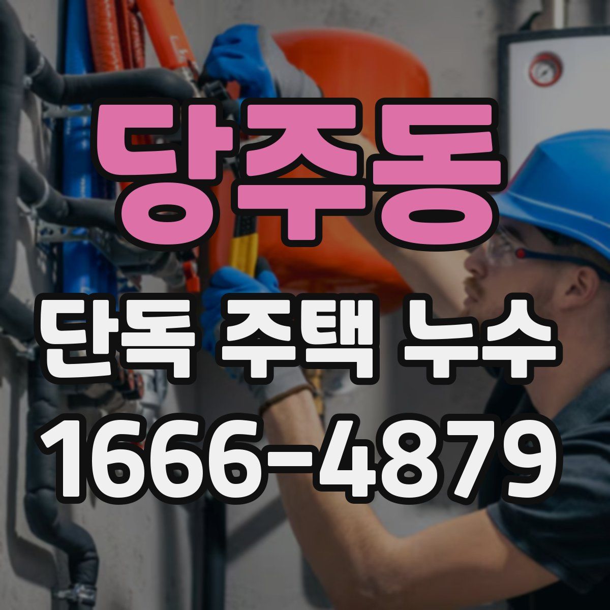 당주동 단독 주택 누수