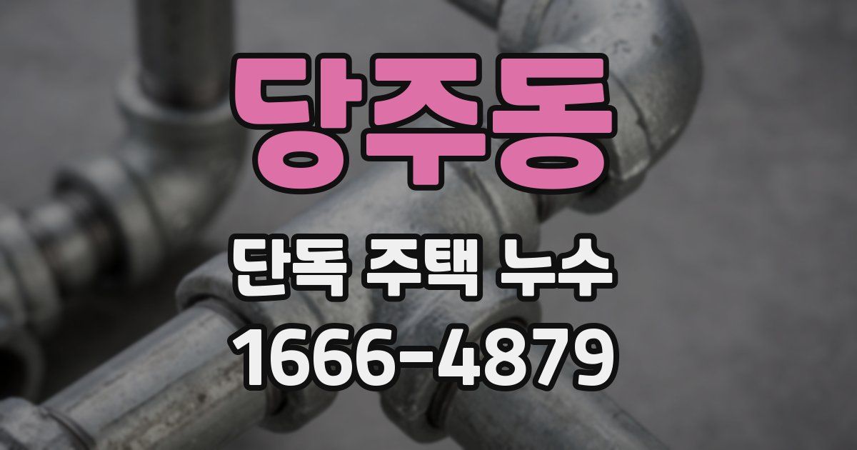 당주동 단독 주택 누수