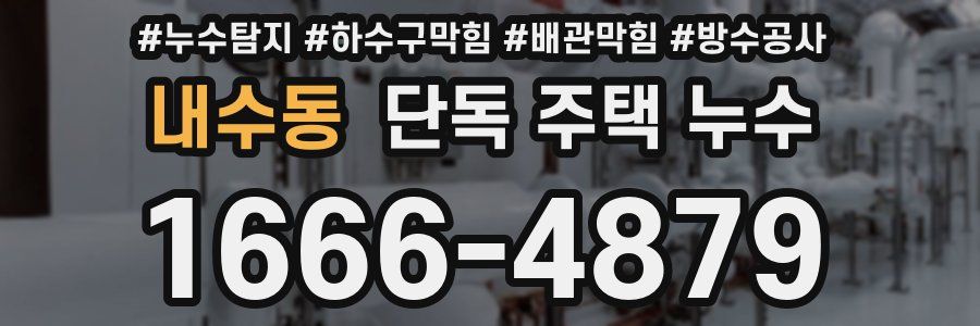 내수동 단독 주택 누수
