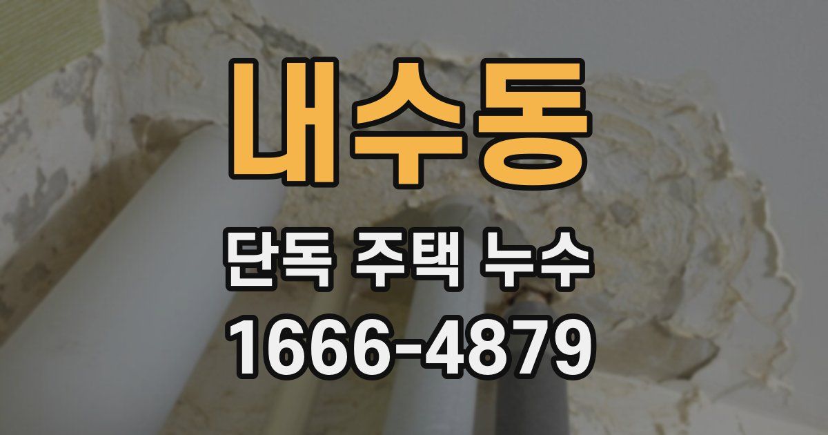 내수동 단독 주택 누수
