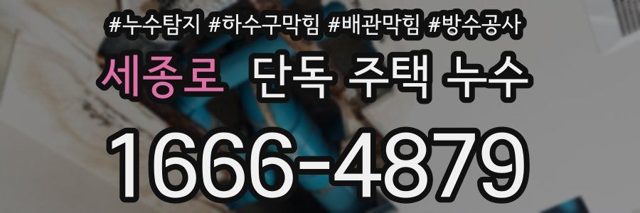 세종로 단독 주택 누수