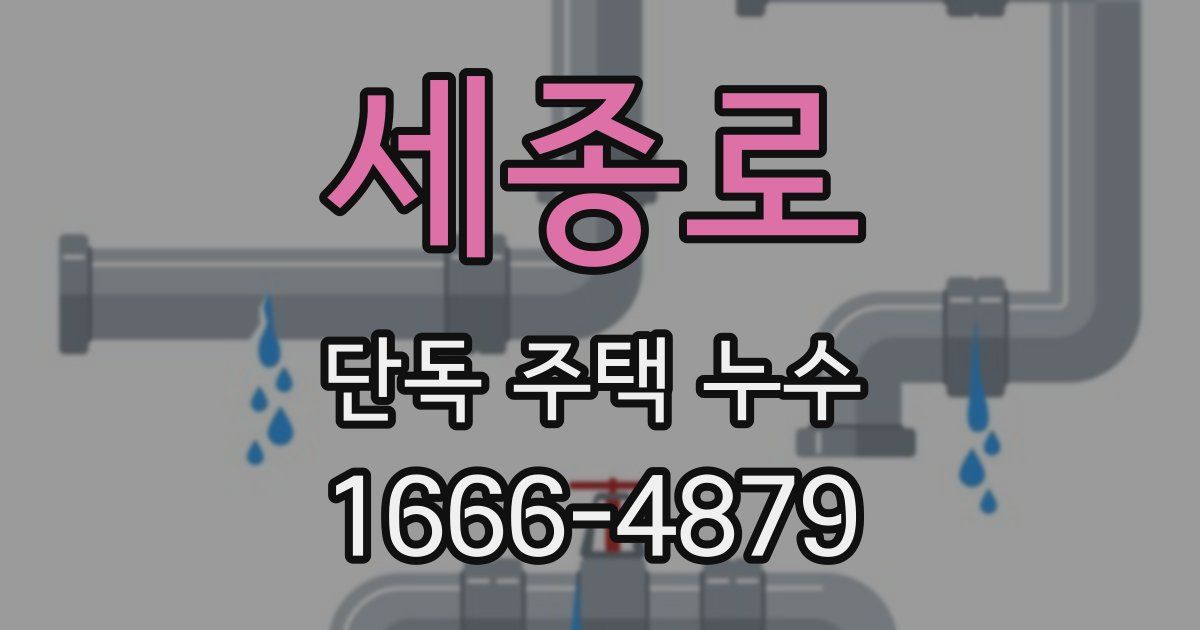 세종로 단독 주택 누수