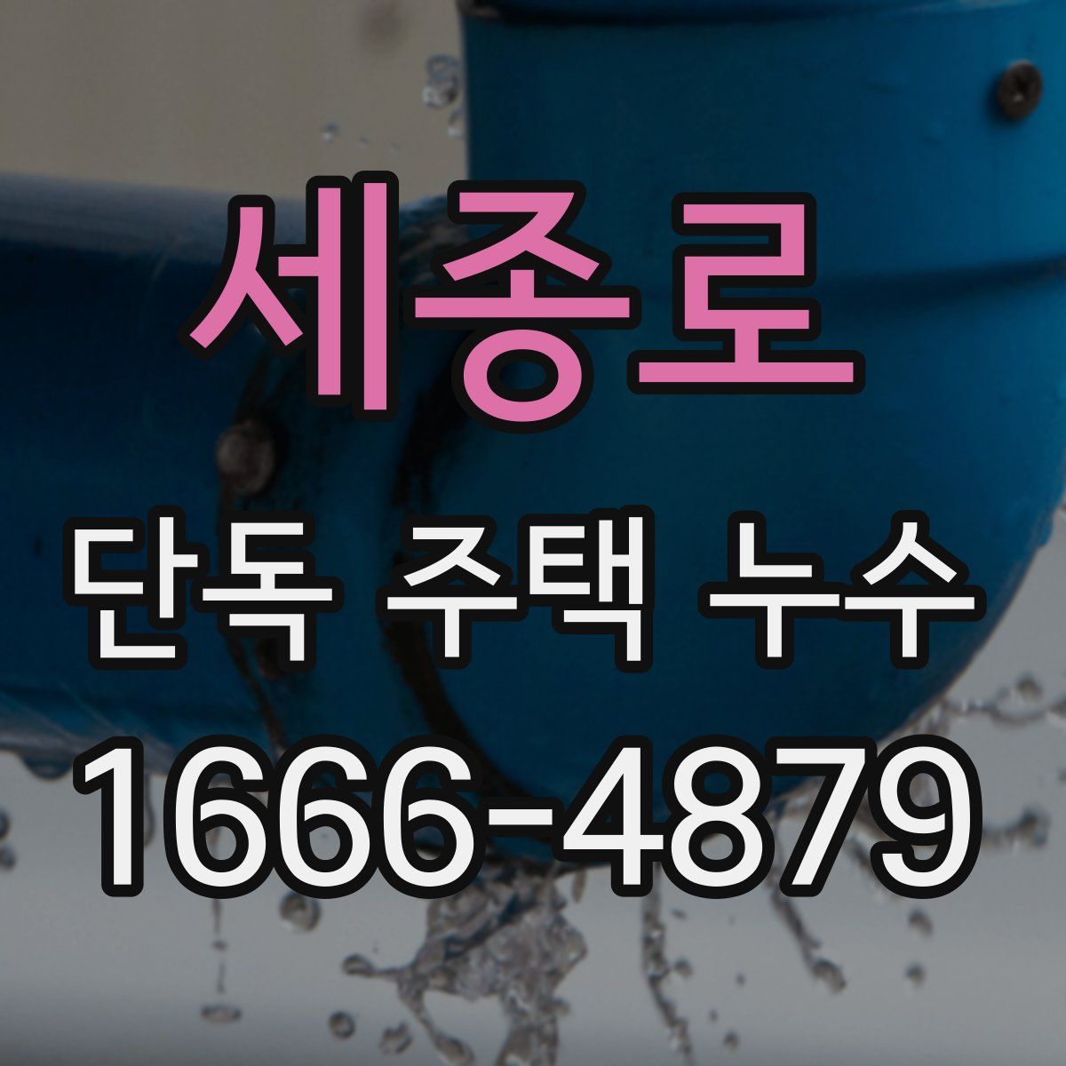 세종로 단독 주택 누수