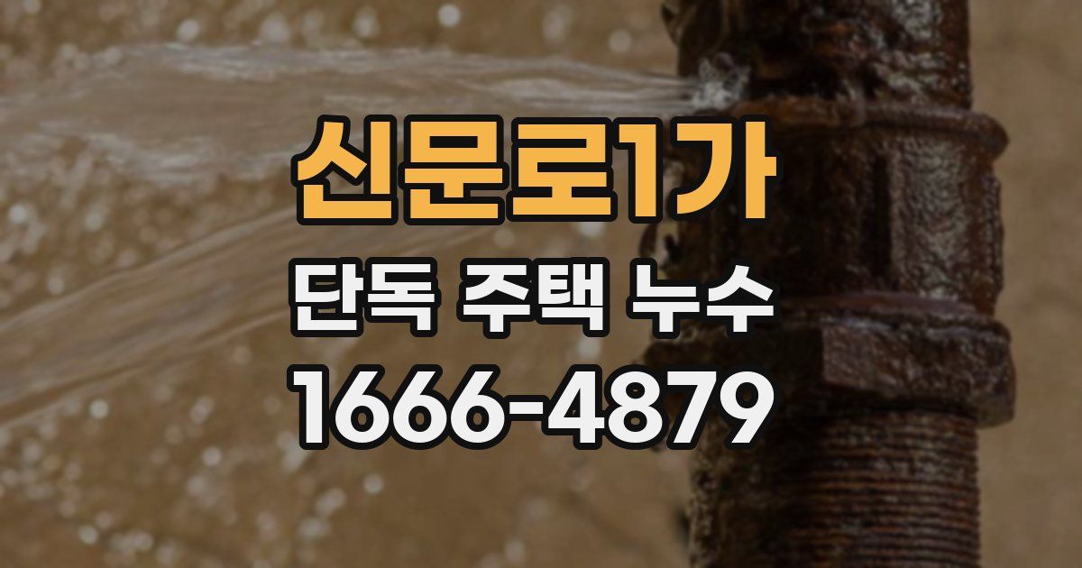 신문로1가 단독 주택 누수