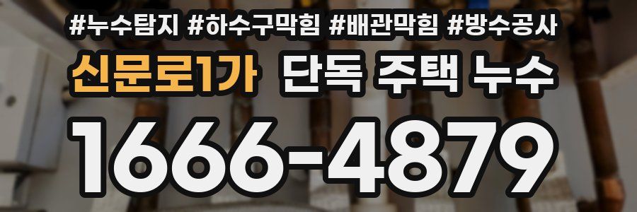 신문로1가 단독 주택 누수