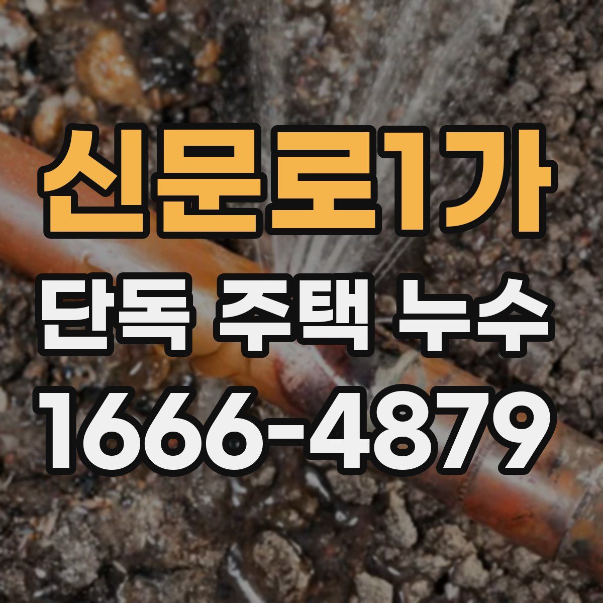 신문로1가 단독 주택 누수