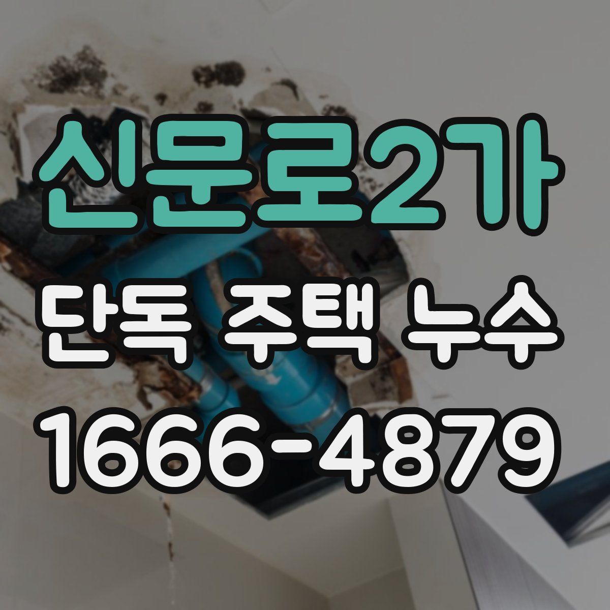 신문로2가 단독 주택 누수