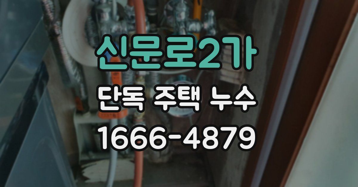 신문로2가 단독 주택 누수
