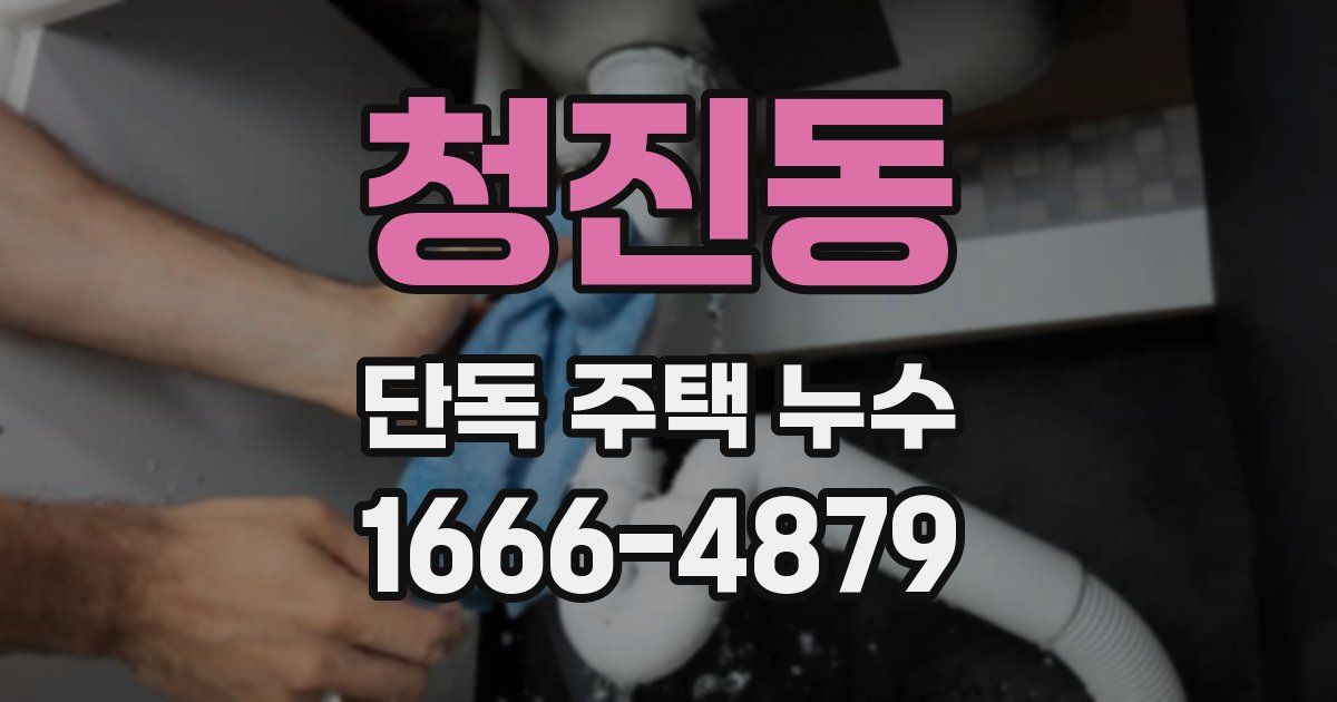 청진동 단독 주택 누수