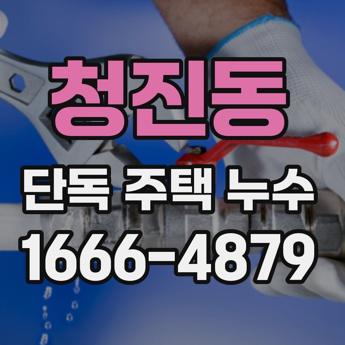 청진동 단독 주택 누수