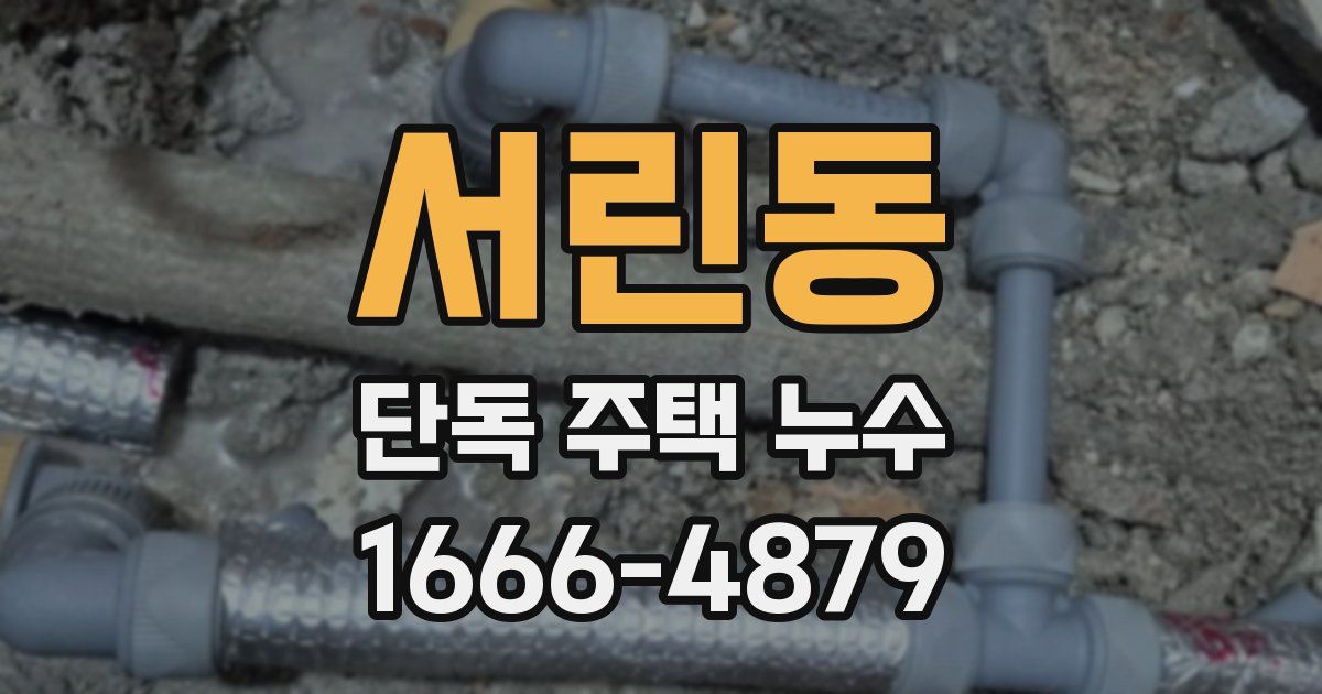 서린동 단독 주택 누수