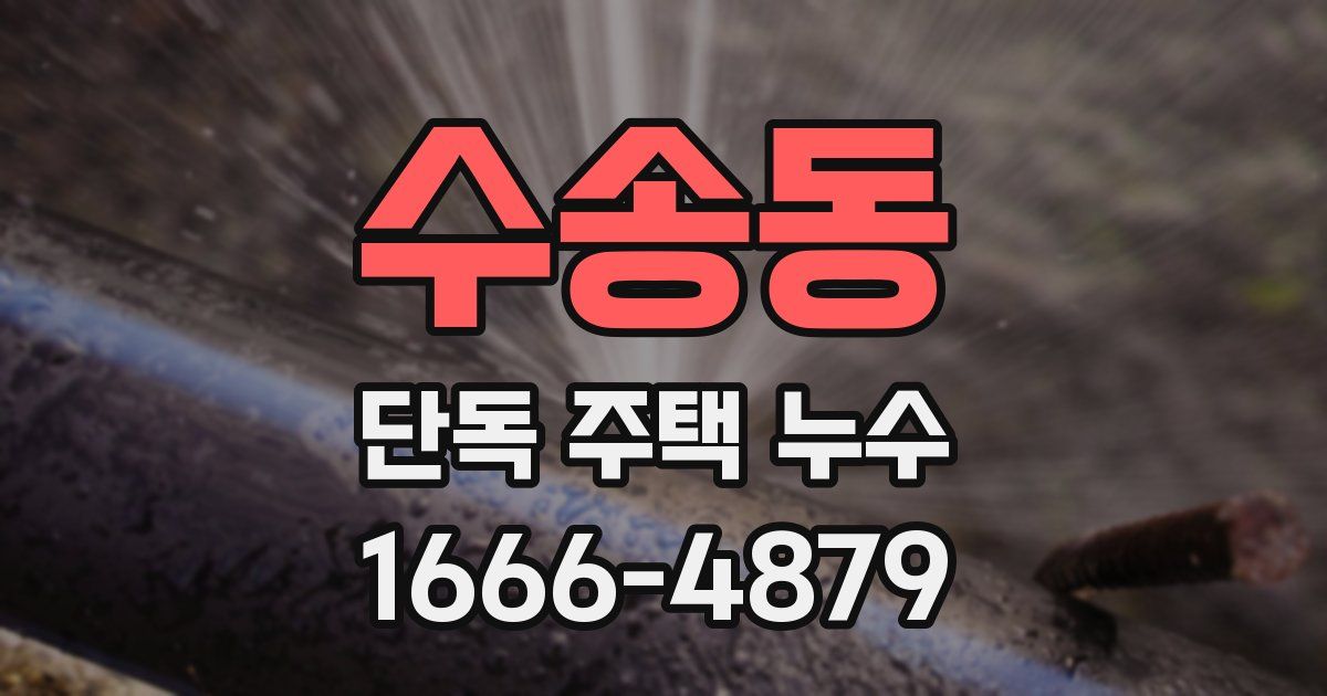 수송동 단독 주택 누수