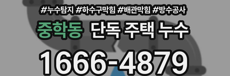 중학동 단독 주택 누수