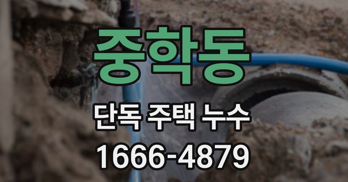 중학동 단독 주택 누수